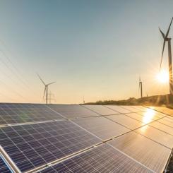 Foto: Sustainable Innovation
