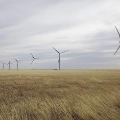 Vindkraftverk i South Plains, Texas. Foto: Wikipedia Common, kredit: Leaflet