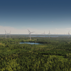 Lönsamheten för vindkraften måste förbättras menar Dan Sten Olsson. Foto: SR Energys vindkraftpark i Tvinnesheda.
