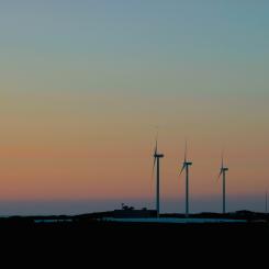 Foto: Tim Vanderhoydonck / Unsplash