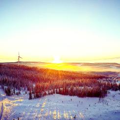 Som en liten ekonomi kan Finland inte locka till sig investeringar genom att erbjuda ekonomiskt stöd, men förutom att erbjuda kostnadseffektiv ny elproduktion på marknadsvillkor är det viktigt att förenkla planerings- och tillståndsprocesser samt säkerställa skattelösningar som kan förbättra projektenas lönsamhet. Foto: Finlands Vindkraftsförening (FVF)