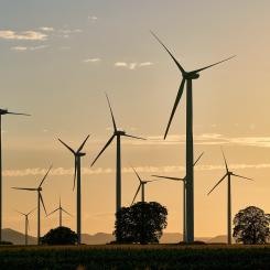 Bild: Ramboll