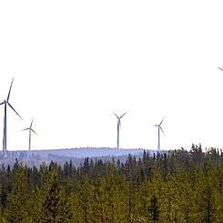 Persson Invest går in som delägare i Hocksjöns vindkraftsprojekt, som idag ägs av energibolaget Jämtkraft. Persson Invest blir 25-procentig delägare. Foto: Persson Invest