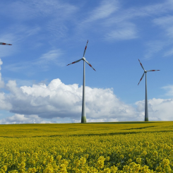 Mellan 2020 och 2023 har 1 258 vindkraftverk stoppats av det kommunala vetot. Arkivbild