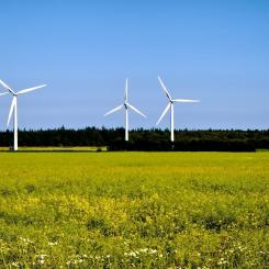 Foto: Energiföretagen
