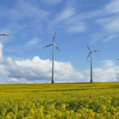 Landbaserad vindkraft kan kortsiktigt lösa industrins energibehov, menar Energiföretagen. Arkivbild