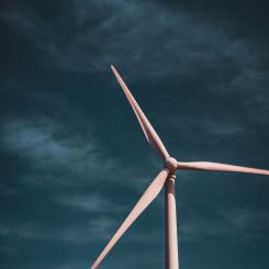 Foto: zero take / Unsplash